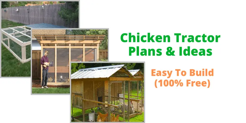 Chicken Tractor Plans