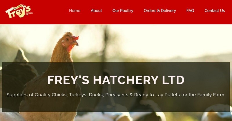 Freys Hatchery