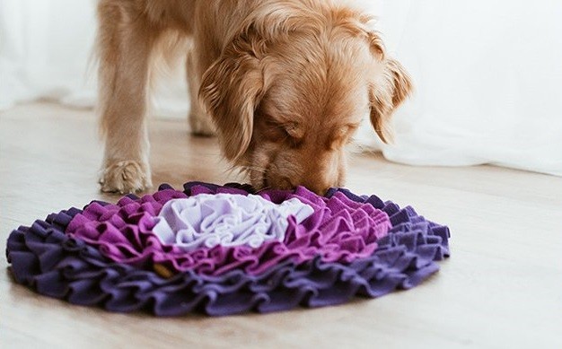 Snuffle Mat