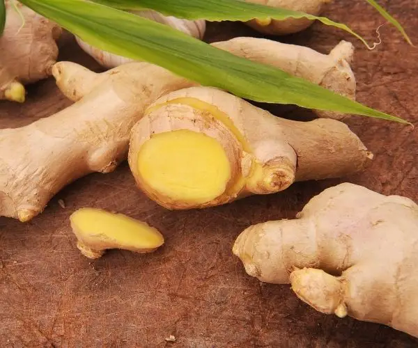 What are the Benefits of Ginger for Chickens