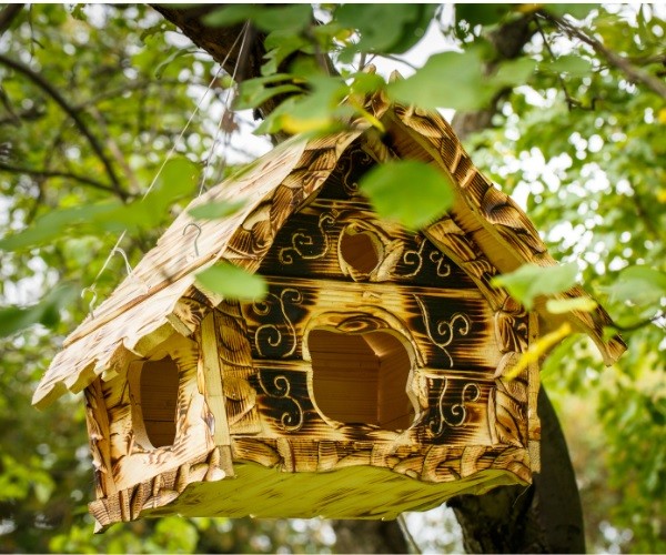 Why Do I Need a Nest Box