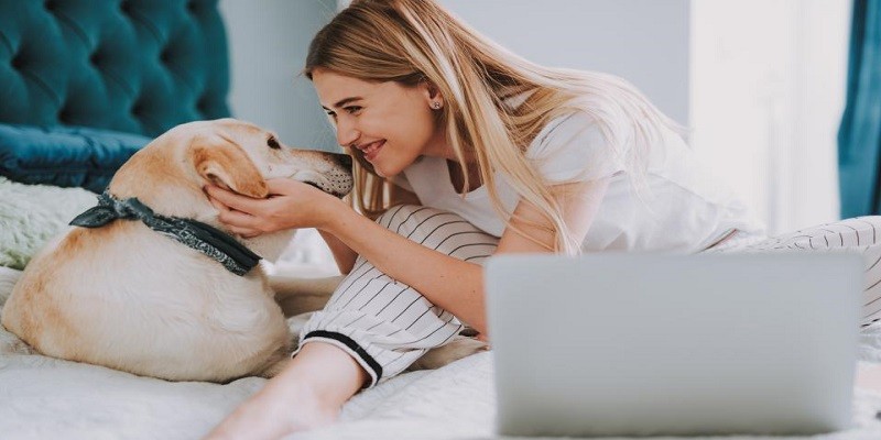 How To Sell Pet Supplies Online