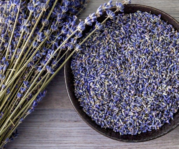 Dry Lavender