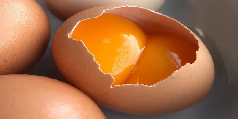 Spiritual Meaning of a Double Yolk Egg