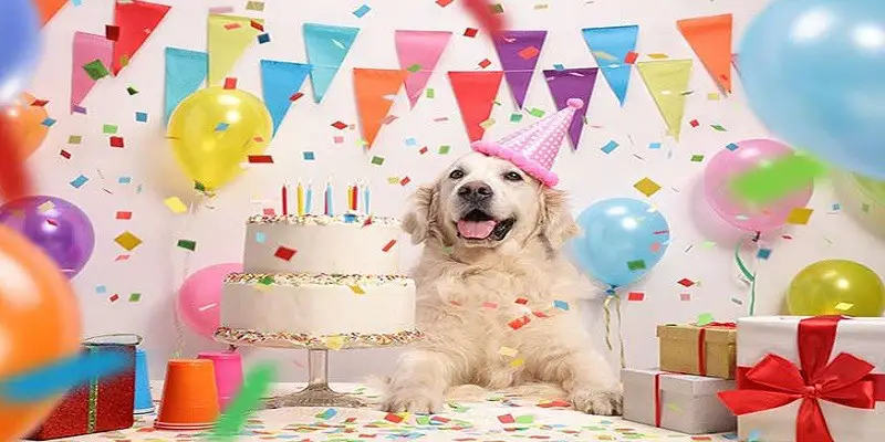 Ultimate Guide To Throwing A Dog Birthday Party
