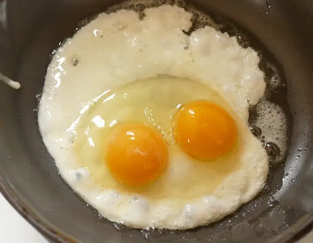 double yolk meaning