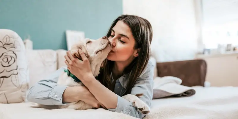 10 Ways To Keep Your Pet Happy And Healthy