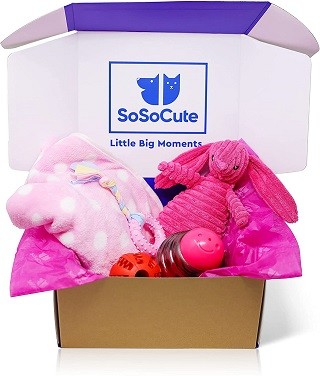SoSoCute Pink Dog Gift Box