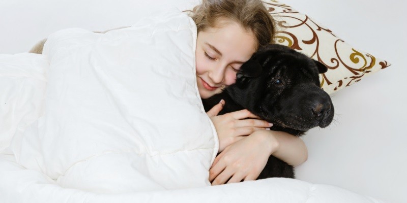 The Secrets Guide to a Good Night's Sleep with Your Dog