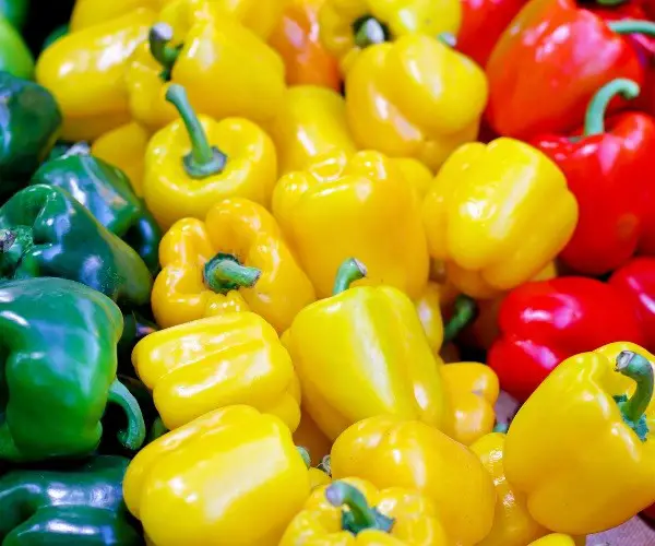 Health Benefits of Bell Peppers to Chickens