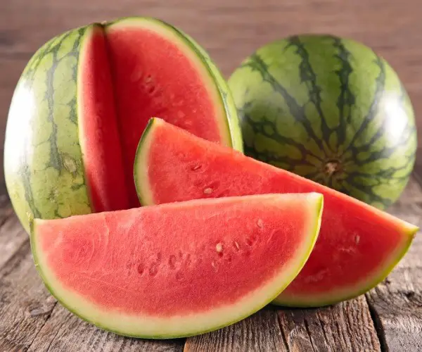 Is Watermelon Safe For Chickens
