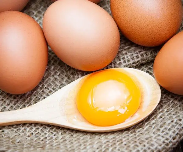Are Guinea eggs better than chicken eggs
