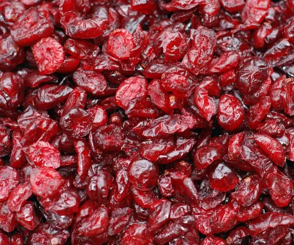 Can chickens eat dried raisins or cranberries