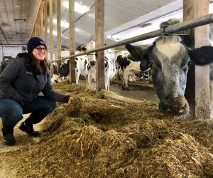 Why Do Chickens Eat Their Own Poop?