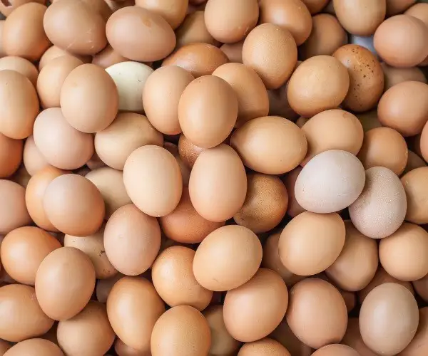 How many eggs per year do speckled Sussex lay