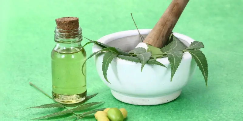 Is Neem Oil Toxic To Chickens