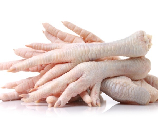What are a chicken's feet called
