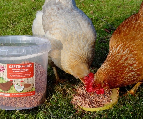 How much grit do chickens need