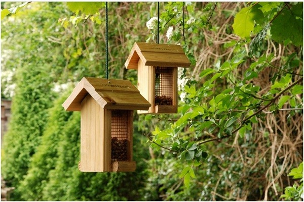 How to use a smart bird feeder with camera