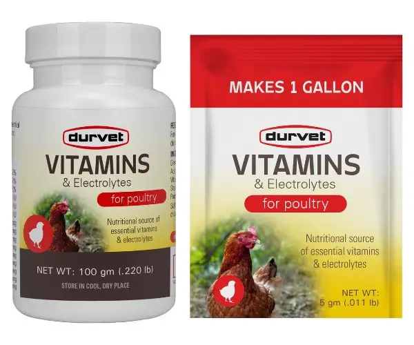 What is the best multivitamin for chickens