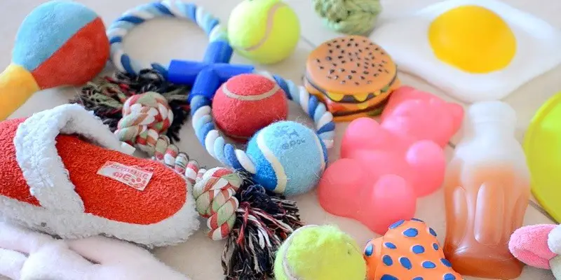 How To Clean Pet Toys