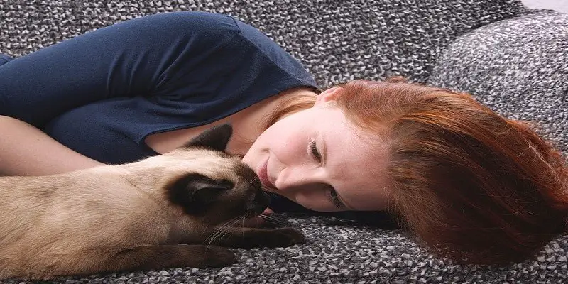 Ways Siamese Cats Show Affection