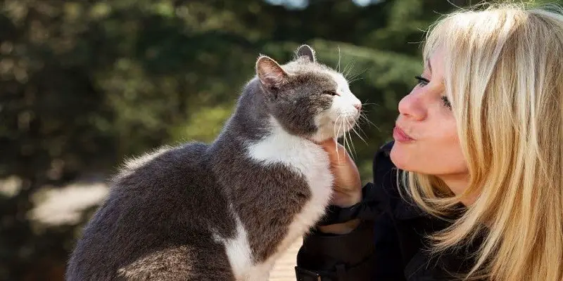 Why Do Cats Respond To Kissing Noises
