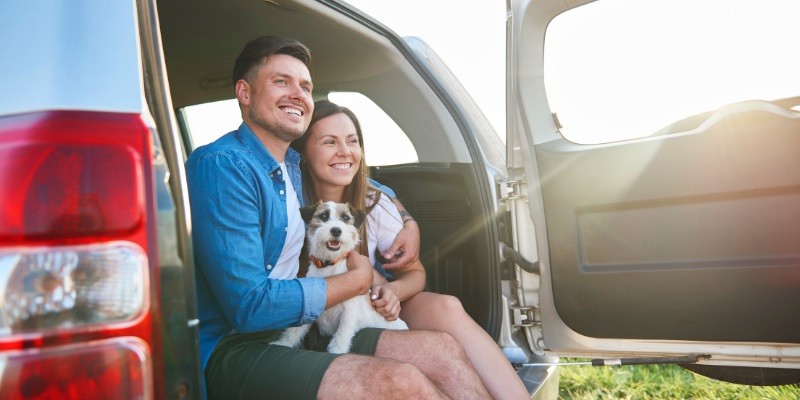 Tips For Making Trips Easier On Your Dog