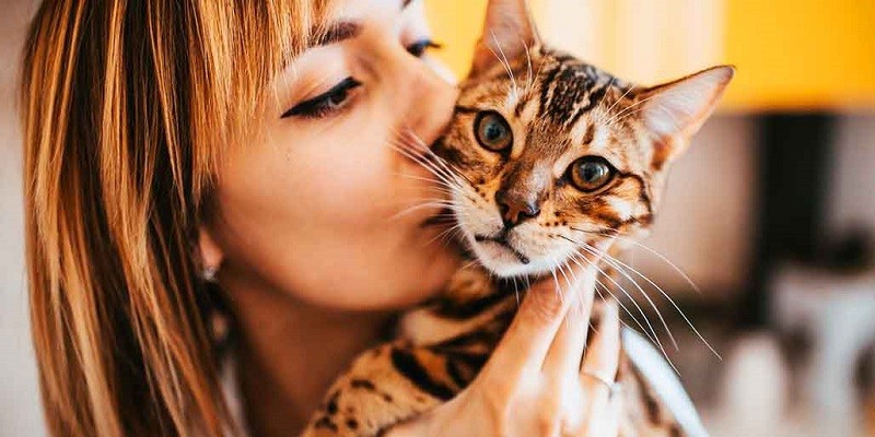 Do Cats Understand Kisses