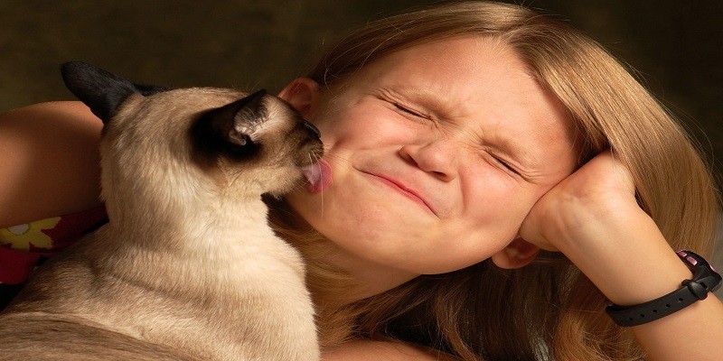 Why Do Cats Lick Your Face