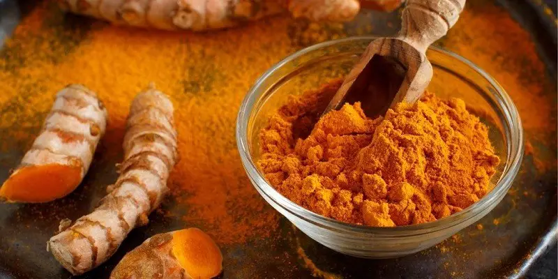 Is Turmeric Safe For Cats