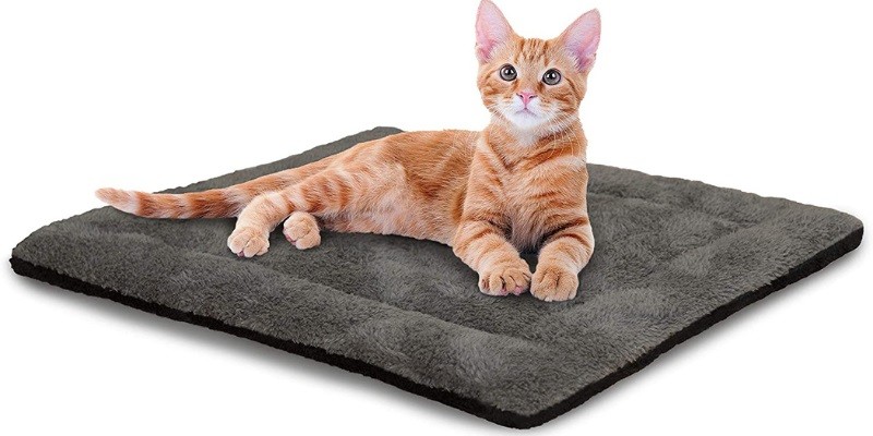 Best Bedding For Outdoor Cats