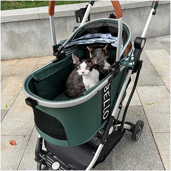 Exploring the Features of the Best Cat Strollers