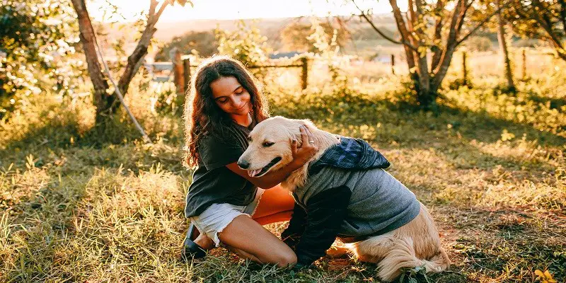 The Ultimate Guide to Balancing Student Life and Pet Ownership