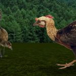 Are Chickens Really Dinosaurs