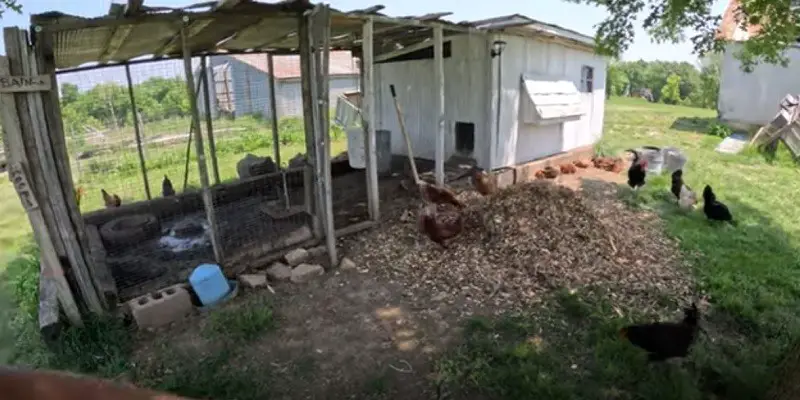What To Put On A Chicken Coop Floor