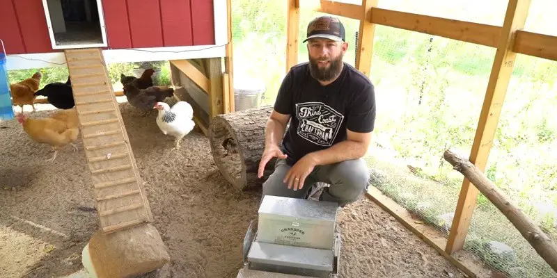 What Should Be Inside A Chicken Coop