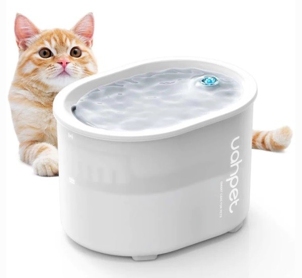 Water Fountains for cat