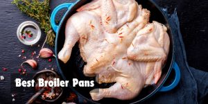 Best Broiler Pans