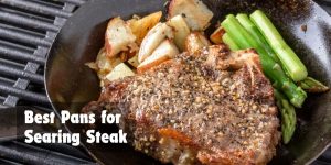 Best Pans for Searing Steak