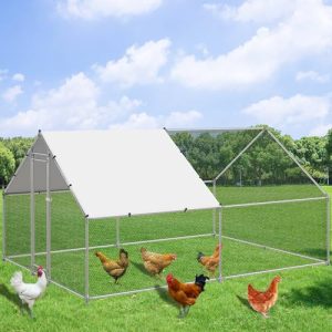 Black Friday Chicken Coop