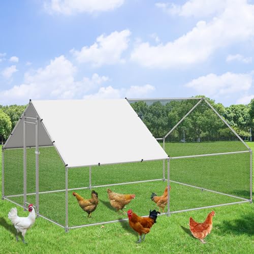 Black Friday Chicken Coop