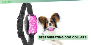 best vibrating dog collars