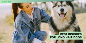 best brushes for long hair dogs