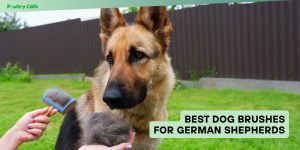 best dog brushes for german shepherds