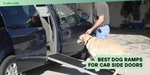 best dog ramps for car side doors