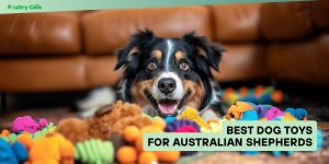 best dog toys for australian shepherds
