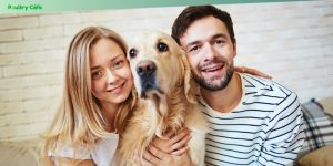 best family-friendly dog breeds
