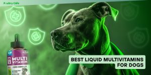 best liquid multivitamins for dogs