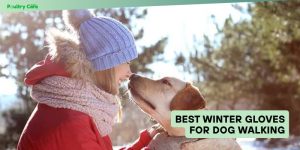 best winter gloves for dog walking